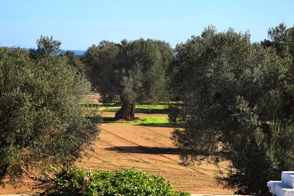 Masseria Pittore Savelletri Exteriör bild